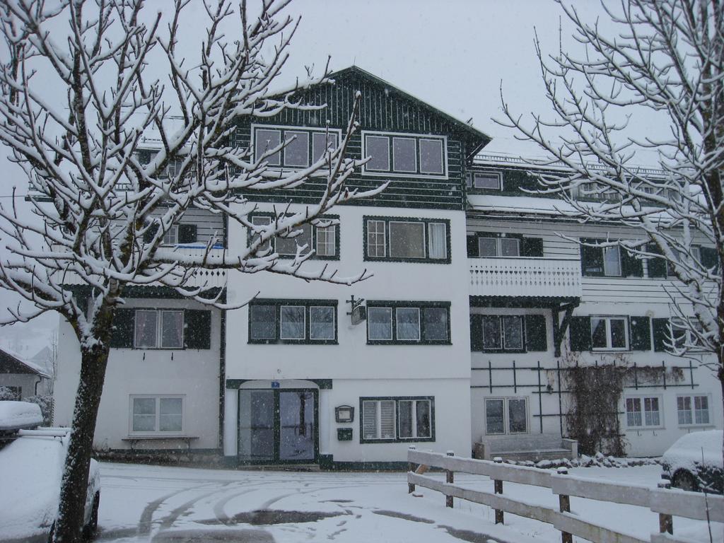 De Jutter Edelweiss Apartment Гозау Екстериор снимка